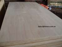 Eucalyptus Plywood