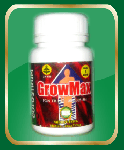 GROW MAX ( Pertumbuhan Tulang,  Peninggi)