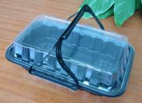 Plastic Food Container/Take Away Food Container