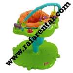 AC-010: Bounce Spin Froggy Entertainer-Fisher Price