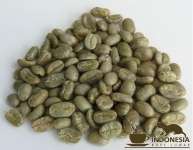 Premium Luwak / Civet Gayo Arabica Green bean
