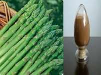 High purity Asparagus Saponins - No dextrin or any other materials added
