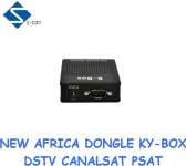X3 sks recevier ( sks dongle and nomal receiver all built in one box) could watch dstv canalsat
