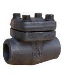 Lifting Check Valve