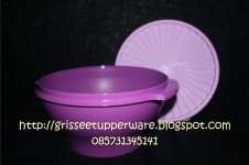 Tupperware Salad Bowl With Fork