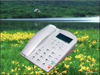 JR-810 IP PHONE