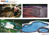 Swimming Pool / Kolam Renang