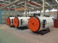 Thermal oil heaters