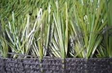 Thiolon PE Artificial grass