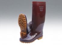 rainboot