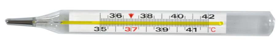 Thermometer Badan