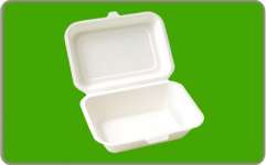 Disposable compostable sugarcane pulp lunch box