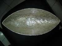 sea shell plate / bowll