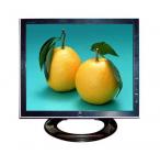 17&quot; LCD Monitor