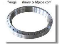 alloy31 UNSNO8031 WN SO BL flange