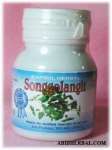 SONGGOLANGIT Obat herbal Rematik,  asam urat,  peluruh kencing,  penghilang sakit,  antibiotik - tazakka