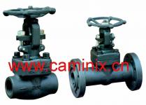 forged steel small size gate /globe/ball/check valves