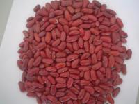 Dark Red Kidney Bean