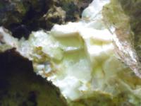 Batu marmar putih loc 3