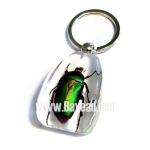 Real Insect Inside Clear Resin Novel Keychain,  Keyring.so Vivid