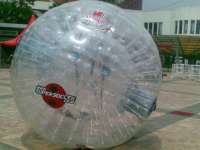 CRAZY BALL / ZORB BALL