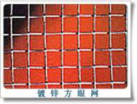 Galvanized Square Wire Mesh