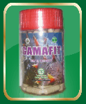 GAMAFIT NURUSY SYIFA 120 kapsul