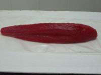 Tuna ( Thunnus Albacares)