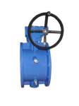 Water Butterfly Valve With Gear Box