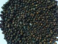 Black Pepper