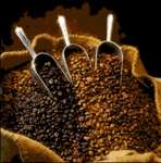 Arabica roasted coffee beans