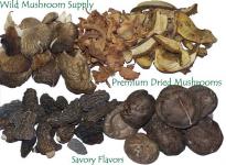 mushroom and wild mushroom