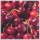 suppling sour cherry juice concentrate