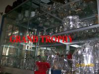 plakat,  piala,  trophy,  award,  medali,  patung