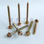 HEX.washer head self tapping screw001