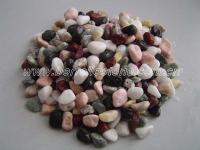 Mixed Color Pebbles and Cobbles
