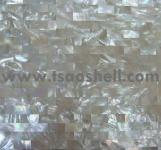 white lip MOP shell tile( seamless-jiont)