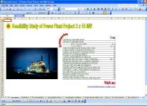 Power Plant 2 x 15 MW Feasibility Study