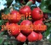 Hawthorn Berry P.E.