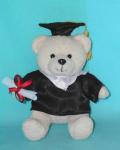T10380 -5" Sitting Graduation Bear