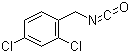 2,  4-Dichlorobenzyl isocyanate cas: 19654-32-1