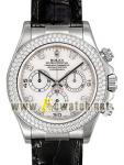 Reasonable price senior brand Watches on www.outletwatch.com