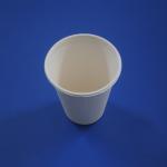 100% biodegradable bagasse products