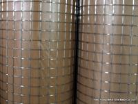 galvanized welded wire mesh