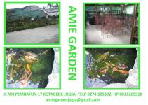 Amie garden galleri 3