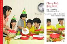 Tupperware Solo " Cherry Red Rice Bowl "