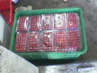 strawberry fresh ( grade C Kw-3 )