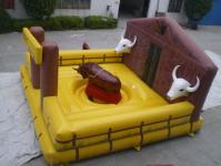 Bull rodeo