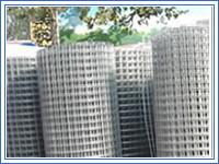 Stainless Welded Mesh