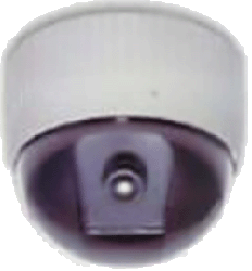 Zestron CCTV Camera